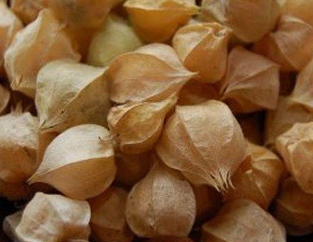 Amazon.com : Tomatillo, Pineapple - Fruits taste just like